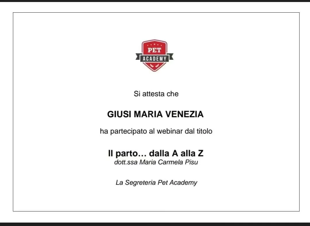 Diploma Giusi Maria Venezia