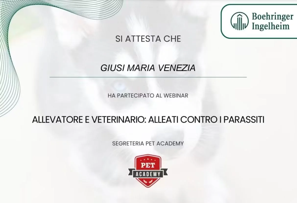 Diploma Giusi Maria Venezia