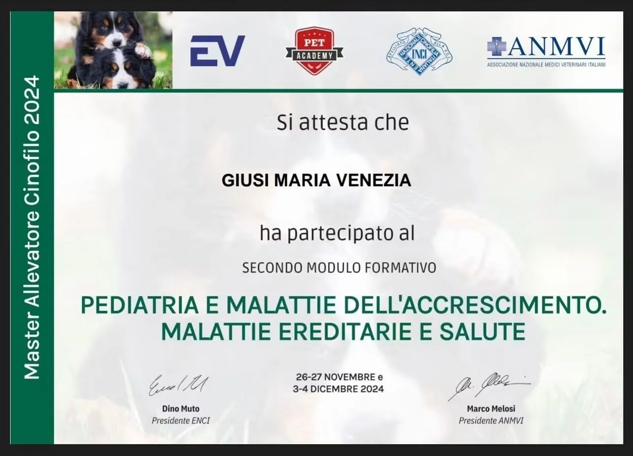 Diploma Master Allevatore Cinofilo ENCI/ANMVI Giusi Maria Venezia