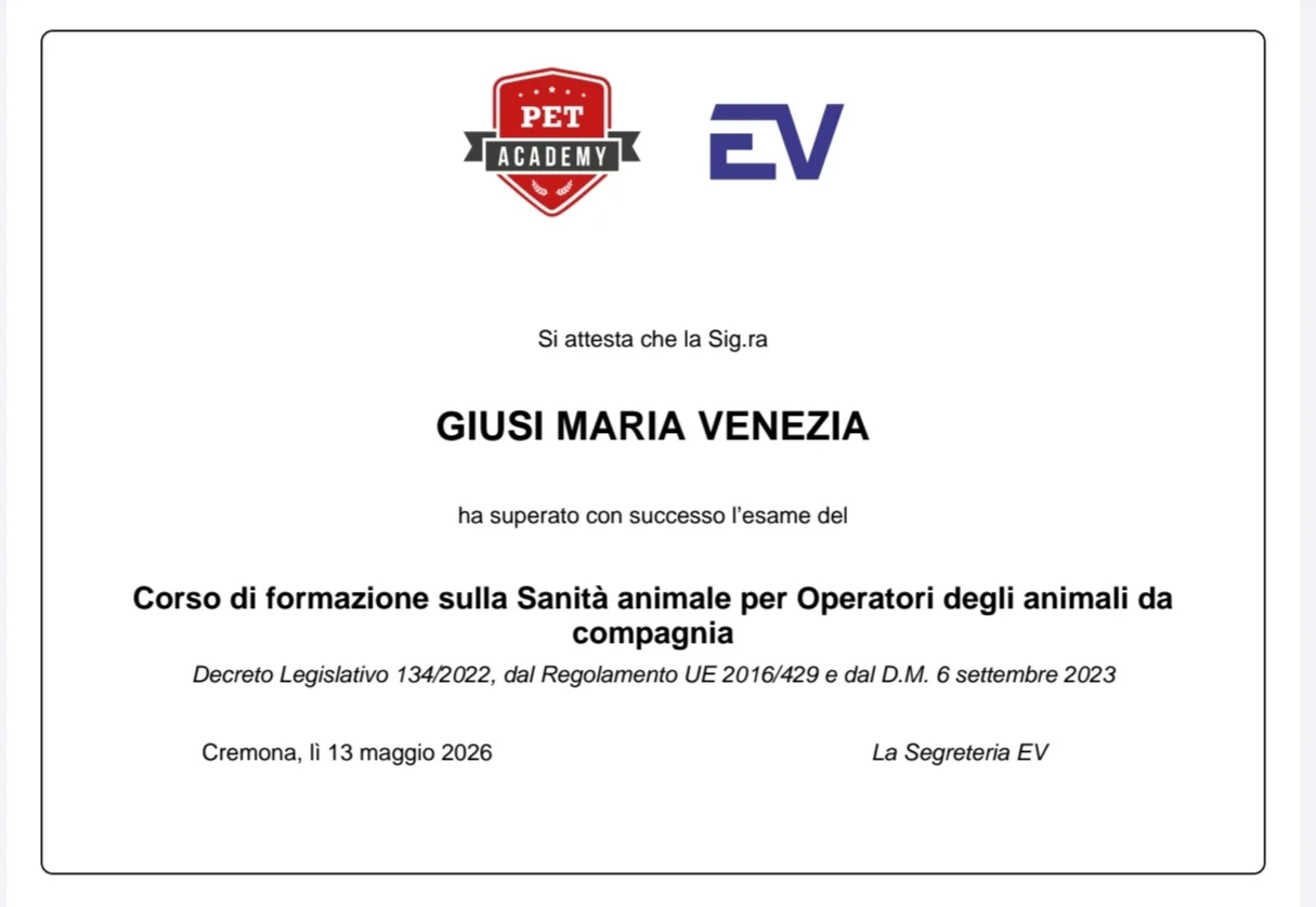 Diploma Giusi Maria Venezia