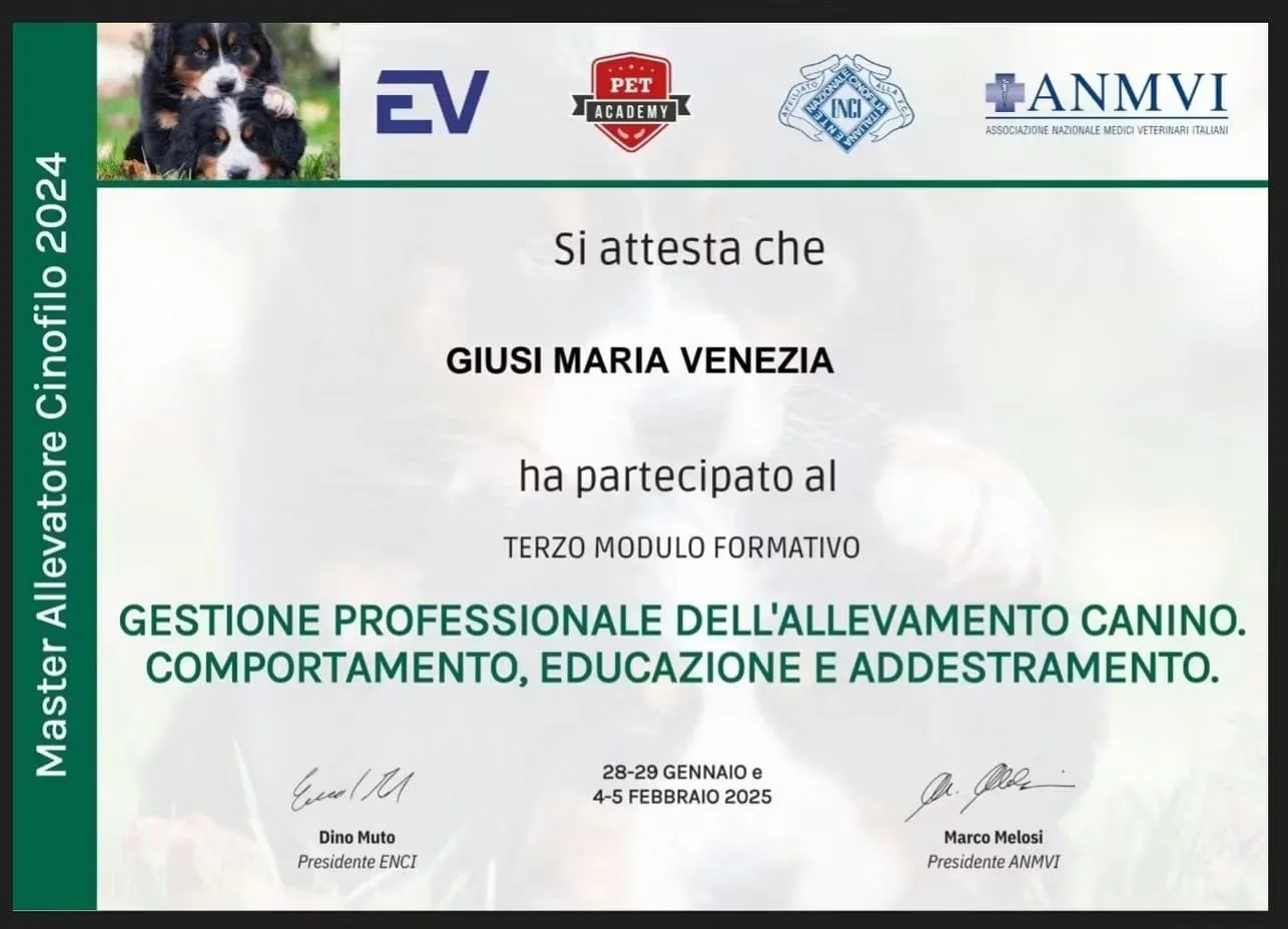 Certificato Master Allevatore Cinofilo ENCI/ANMVI Giusi Maria Venezia