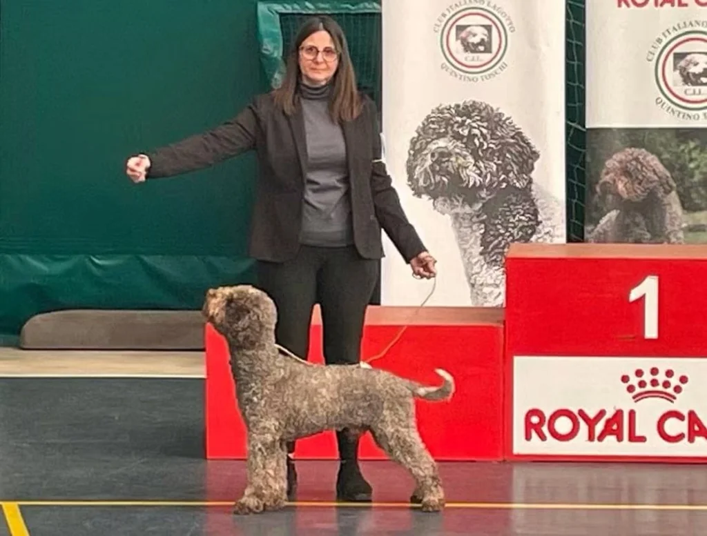 Giusi Maria Venezia in esposizione ufficiale con Lagotto Romagnolo