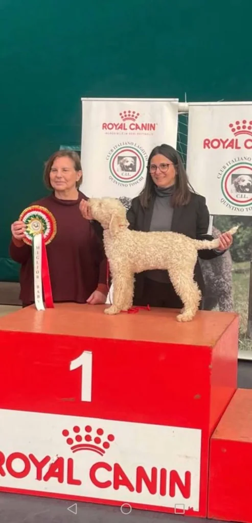 Premiazione 1° Posto con Lagotto Romagnolo