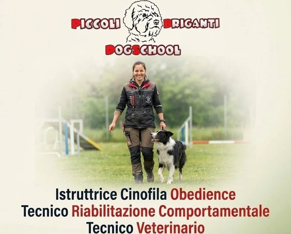 Istruttrice cinofila al campo Piccoli Briganti DogSchool