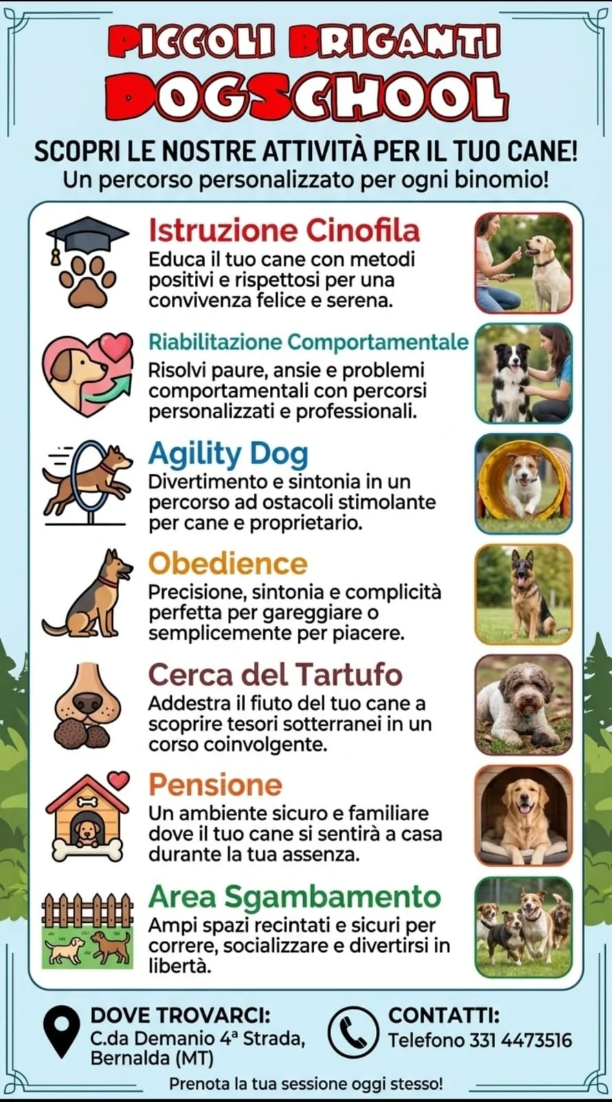 Locandina dei servizi Piccoli Briganti DogSchool