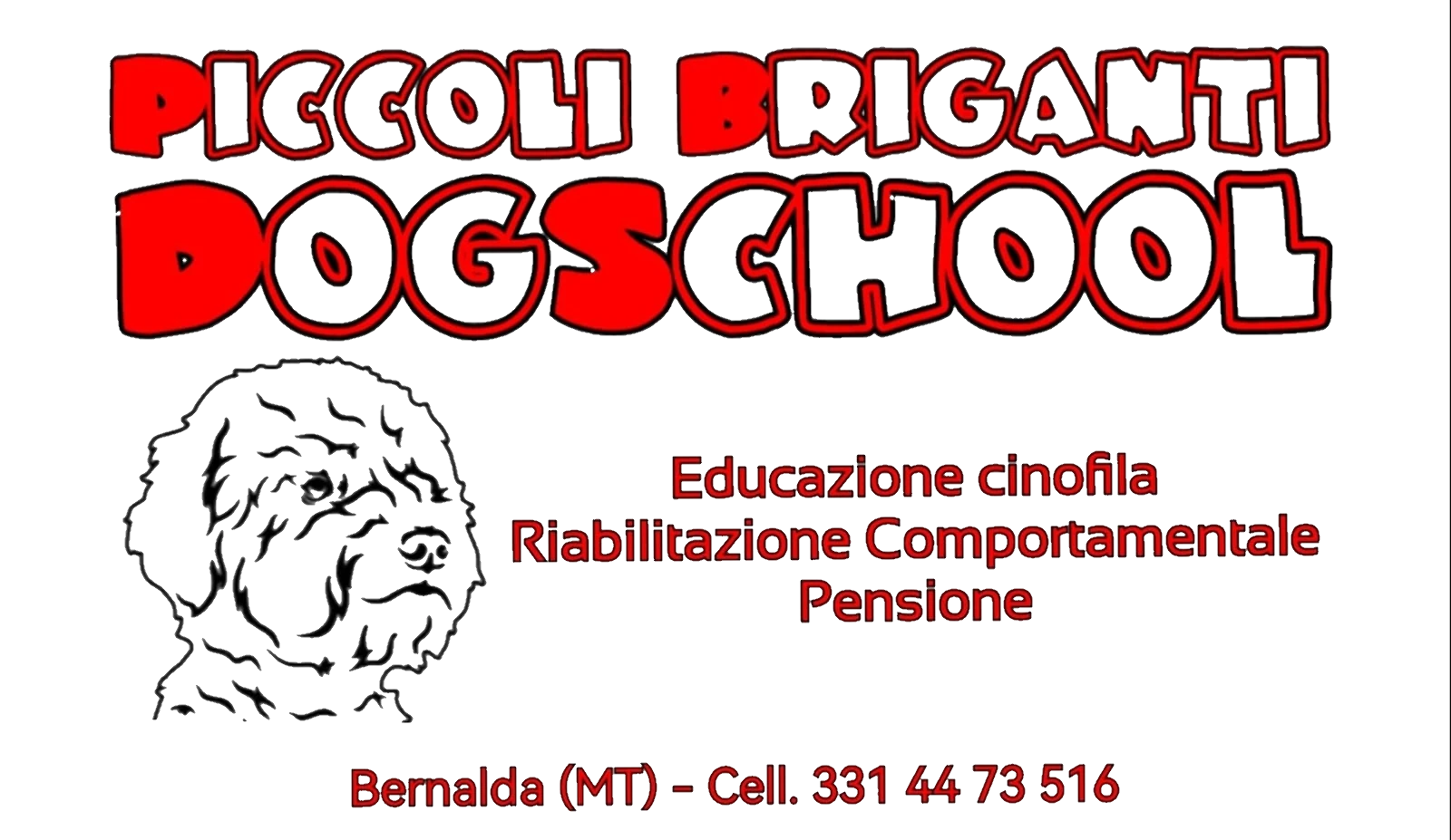 Logo Piccoli Briganti & I Salici d'Oro